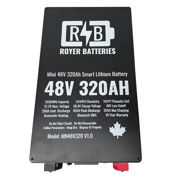 Mini 48V 320Ah Smart Heated LiFePO4 Battery (16.4kWh)